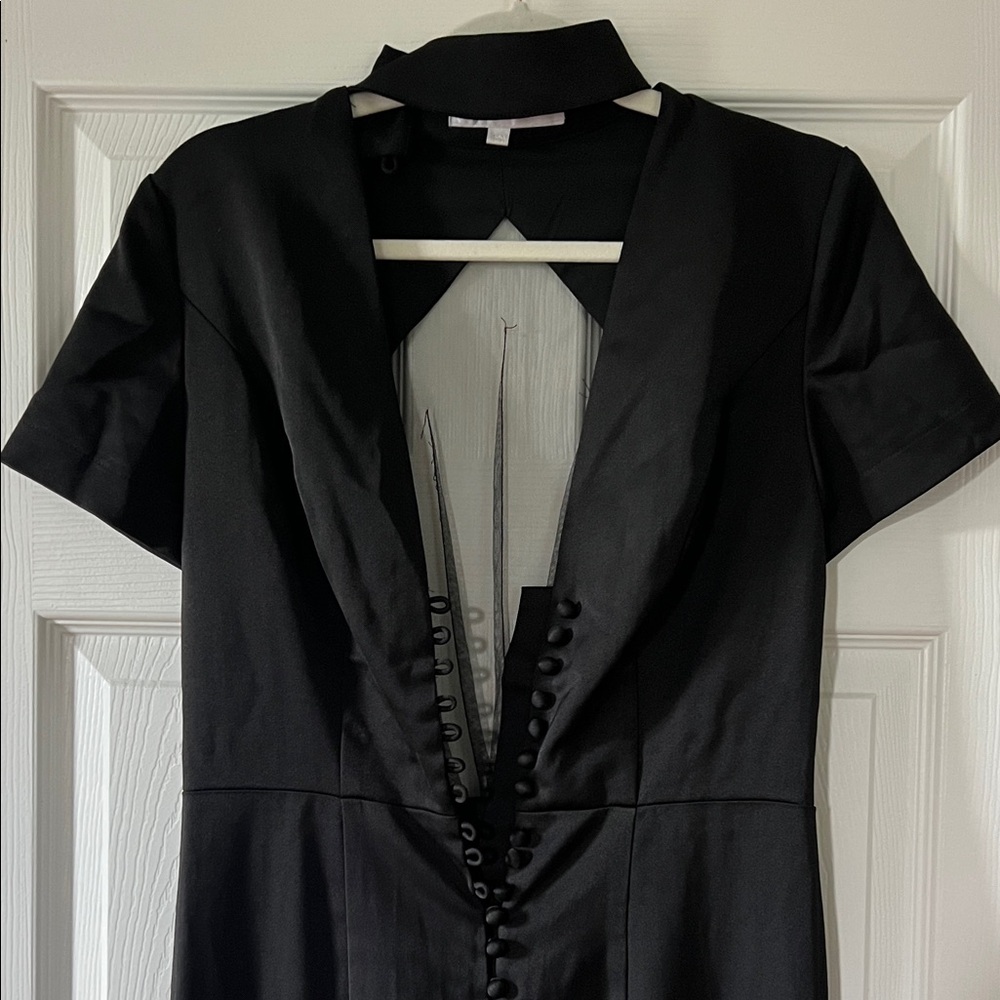 Gorgeous Sheer Back Elegant Black Women's Dress